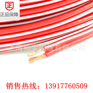 450/750V ZRBV绝缘导线 高性能电气设备线缆的优选